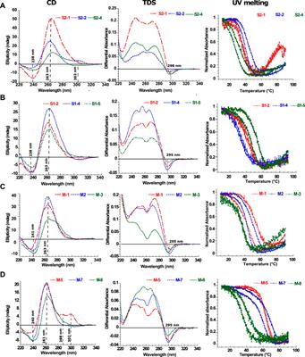 RNA G-quadruplex forming regions from SARS-2, SARS-1 and MERS coronoviruses